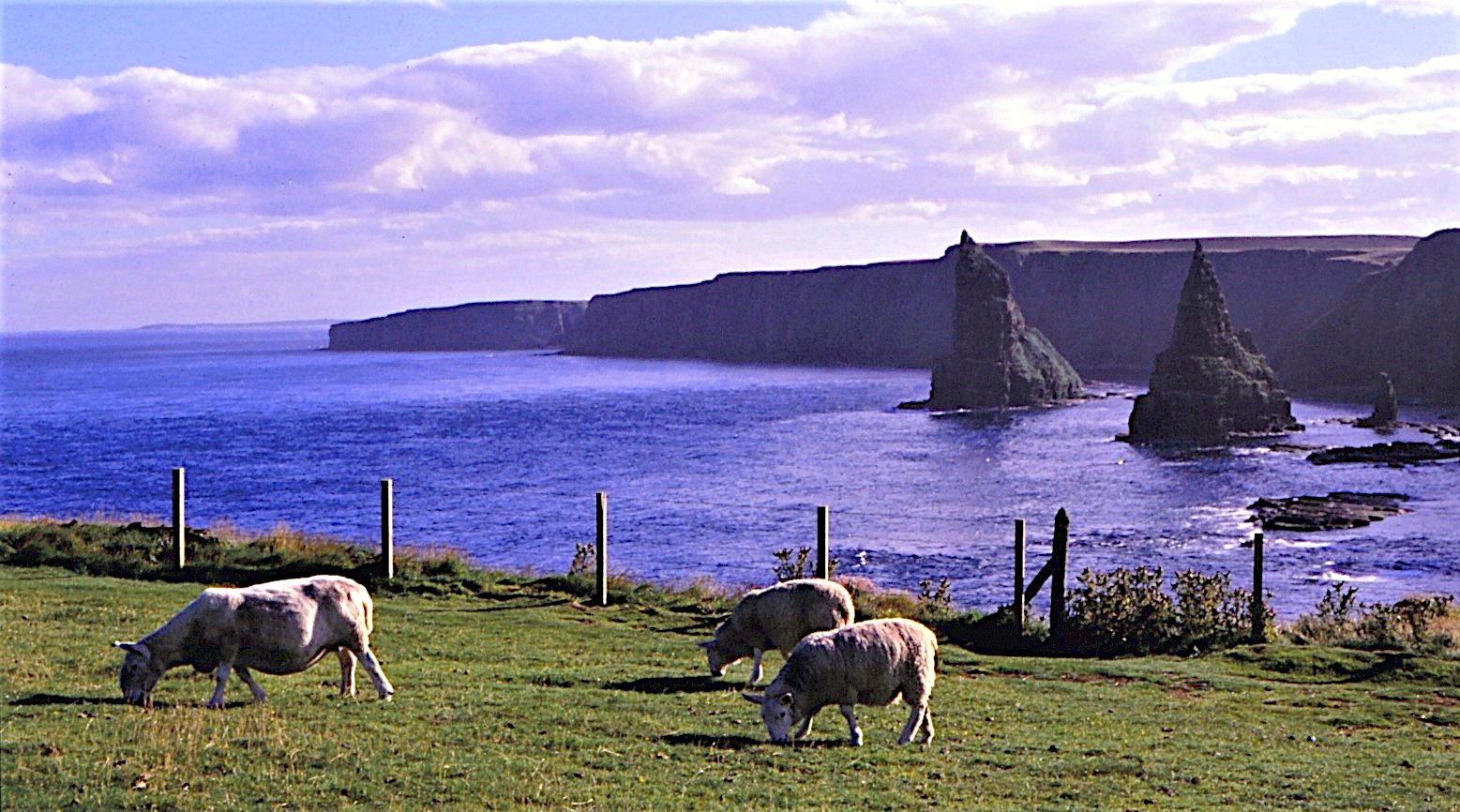 Unterwegs in Schottland - Stacs of Duncansby bei John o´Groats