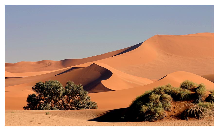 Unterwegs in Sossusvlei