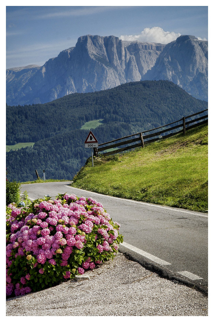 Unterwegs in Südtirol 3