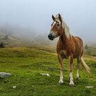 unterwegs in Südtirol (5)