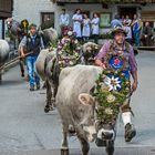 unterwegs in Südtirol (8)