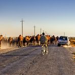 Unterwegs in Turkmenistan