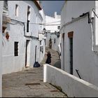 Unterwegs in Vejer