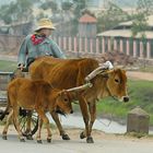 Unterwegs in Vietnam