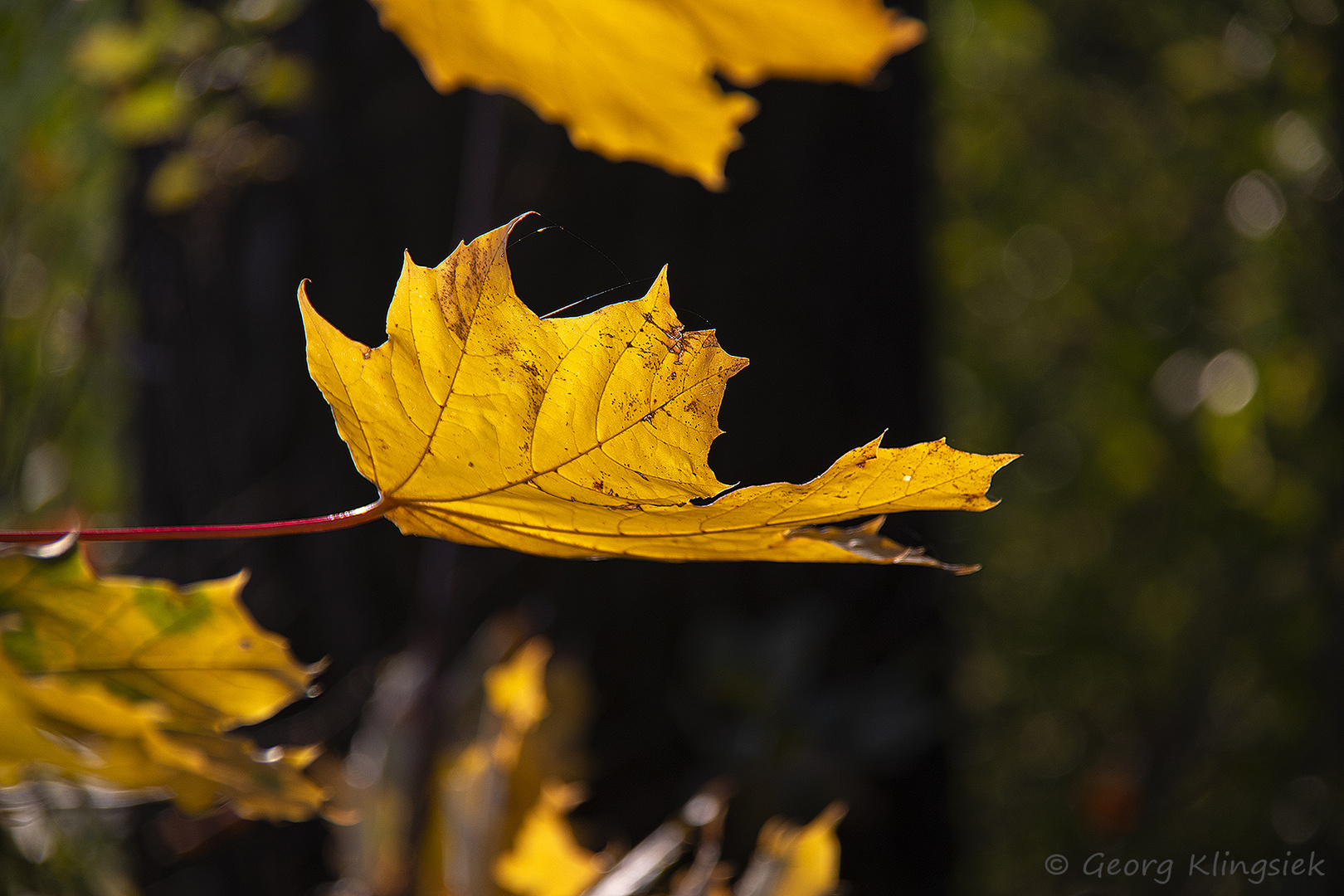 Unterwegs in Wald und Flur 2 