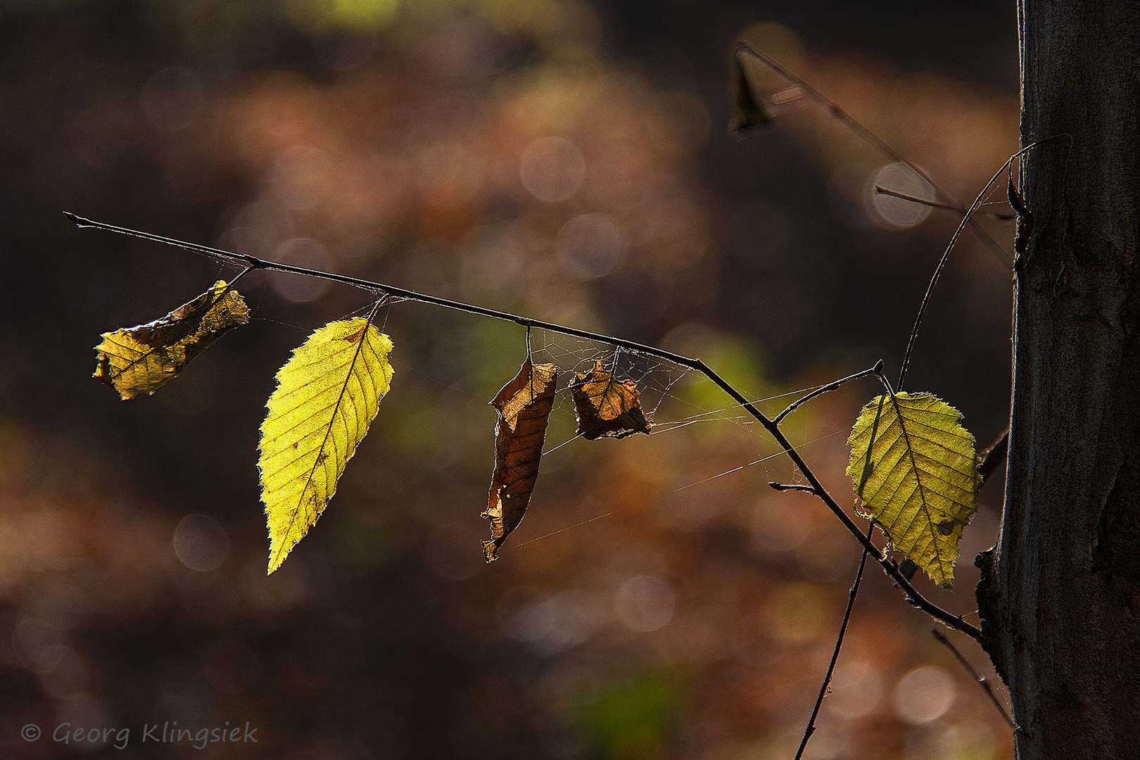 Unterwegs in Wald und Flur 4 