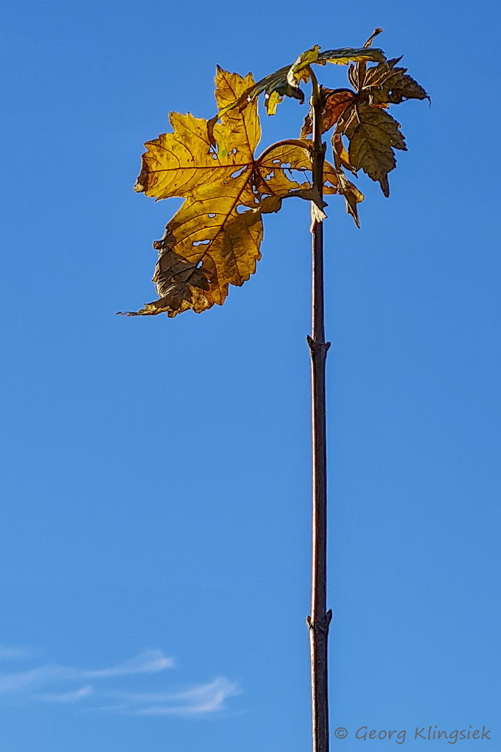 Unterwegs in Wald und Flur 5 