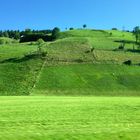 Unterwegs ins Emmental