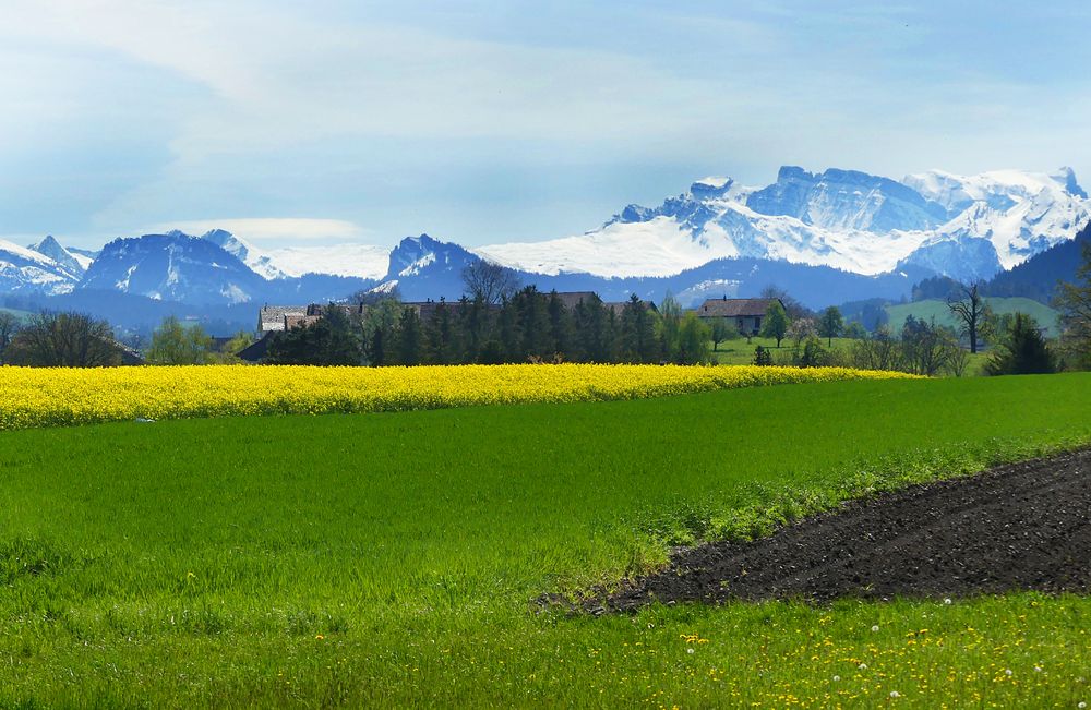 Unterwegs ins Hochmoor