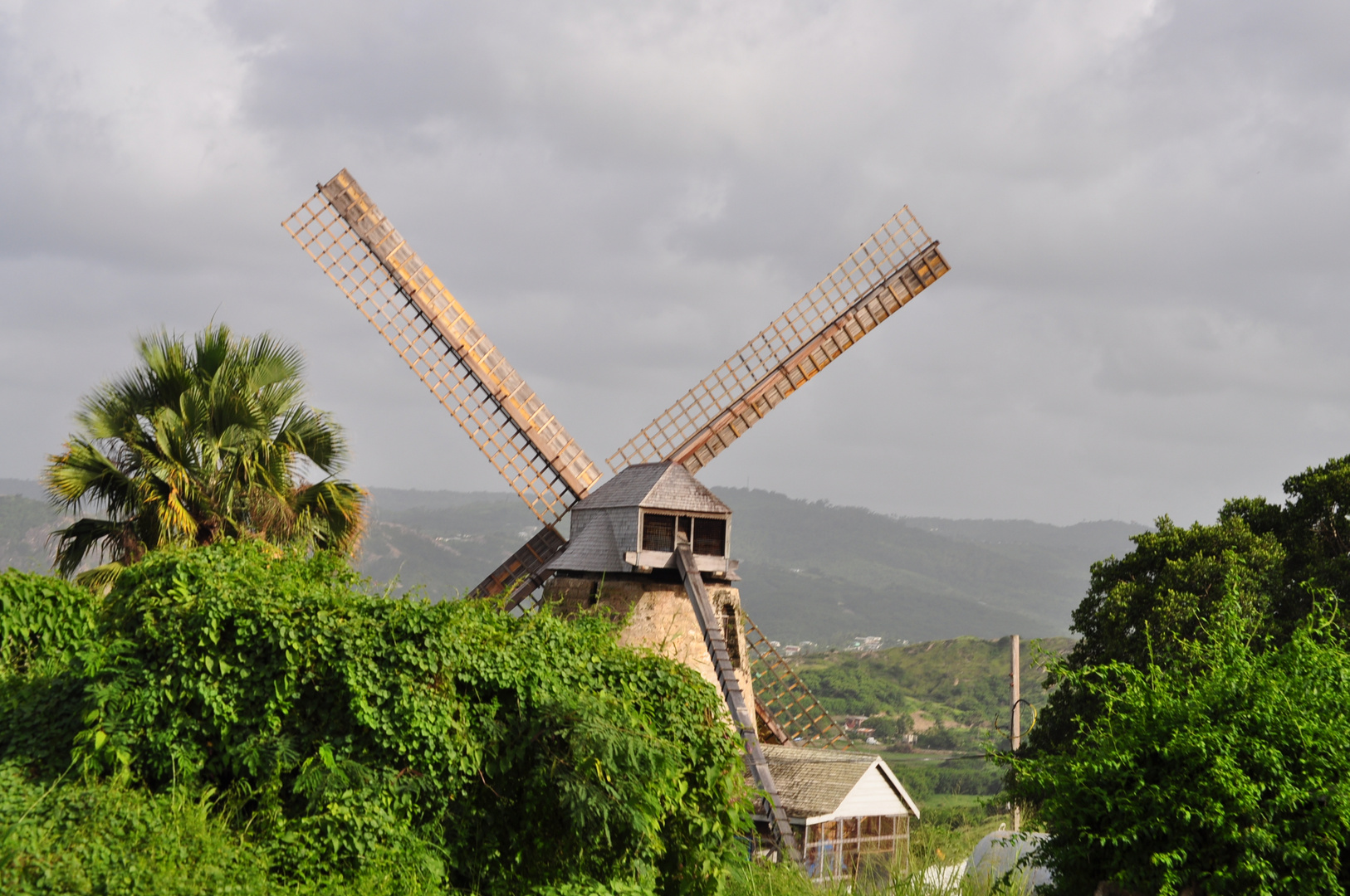 Unterwegs--Inseltour Barbados