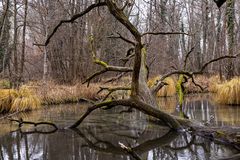 Unterwegs mit 50mm Objektiv