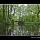 Unterwegs mit dem Paddelboot