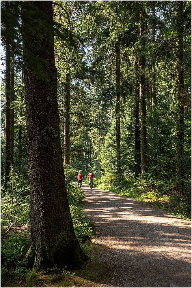 Unterwegs mit den Rädern