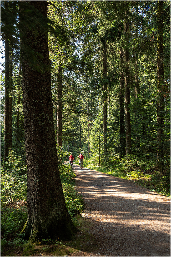 Unterwegs mit den Rädern