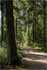 Unterwegs mit den Rädern