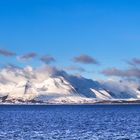 Unterwegs mit der Hurtigruten