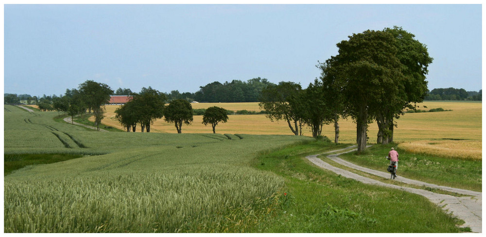 unterwegs mit Fahrrad