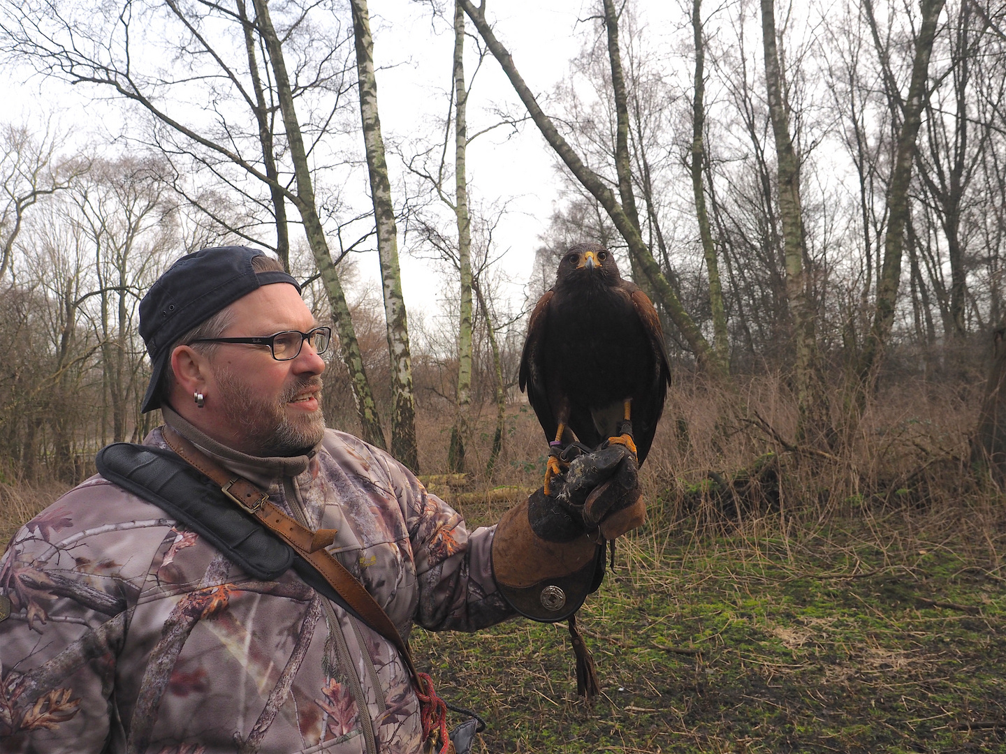 Unterwegs mit Falkner Martin Hagemann