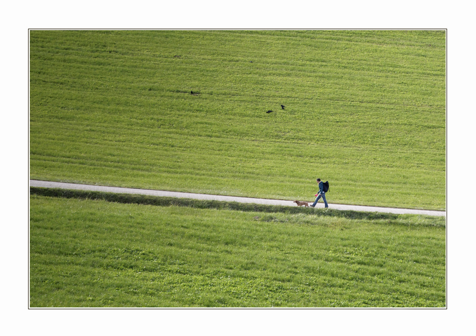 Unterwegs mit Hund