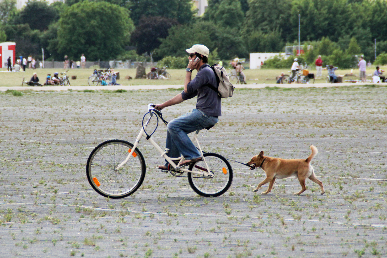 Unterwegs mit Hund und Handy