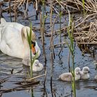 Unterwegs mit "la familia"