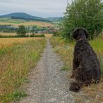 unterwegs mit Wicky-Emily, 2 (paseando con Wicky-Emily, 2)