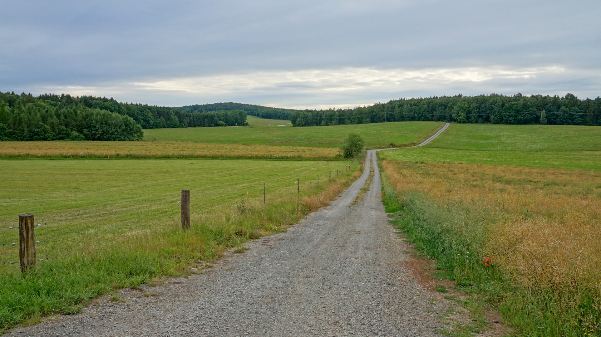 unterwegs mit Wicky-Emily, 3 (paseando con Wicky-Emily, 3)