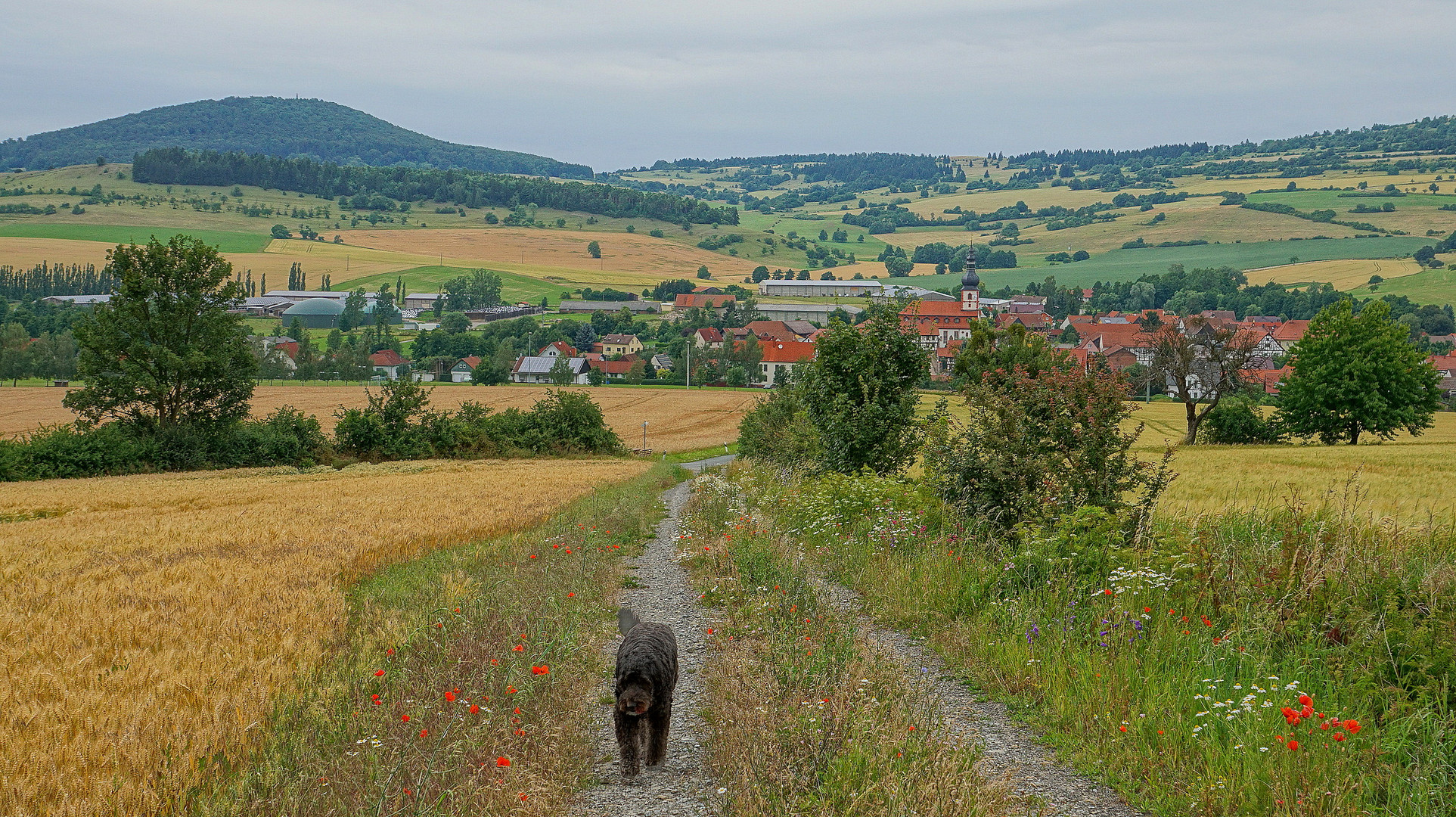 unterwegs mit Wicky-Emily (paseando con Wicky-Emily)