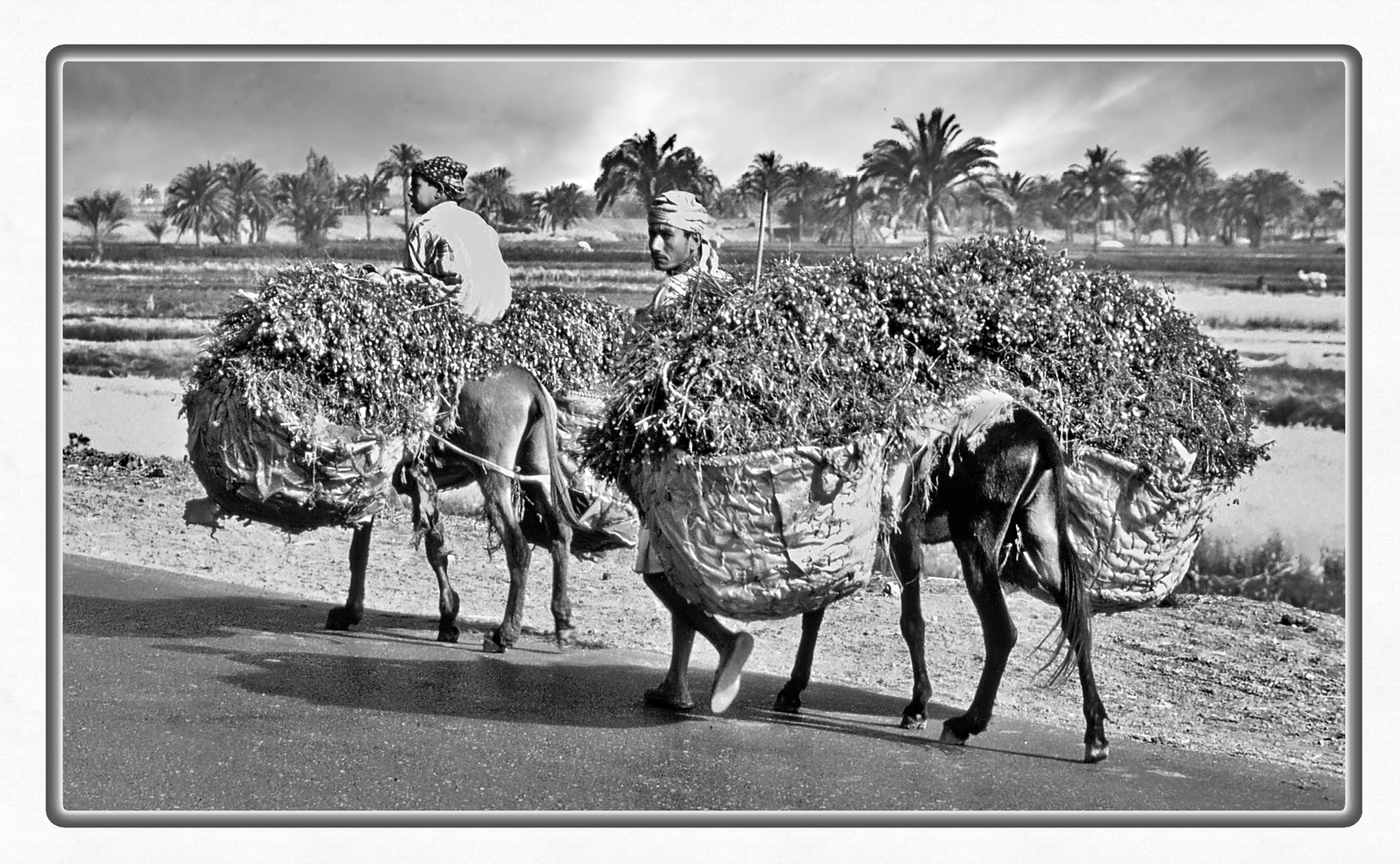 unterwegs nach Abydos - Kleintransporte II