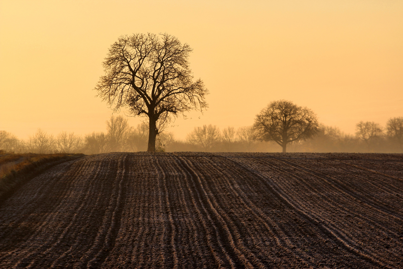 Unterwegs nach cold morning