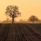 Unterwegs nach cold morning