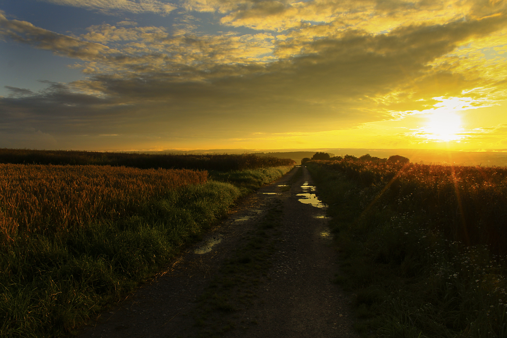 Unterwegs nach dem Regen  Foto Bild  landschaft cker 