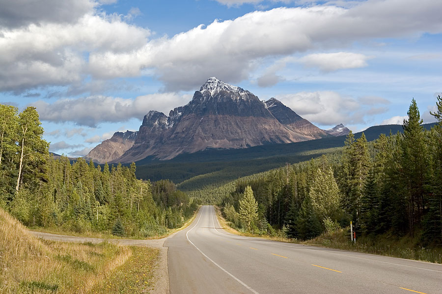 Unterwegs nach Jasper auf dem Yellowhead Highway