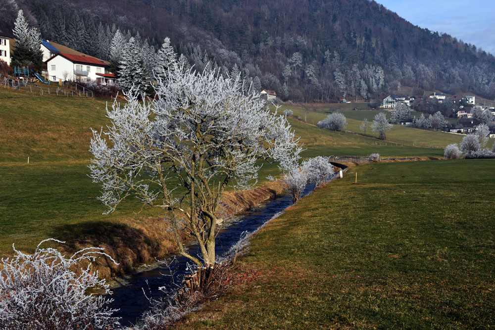 Unterwegs nach Langenbruck