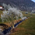 Unterwegs nach Langenbruck