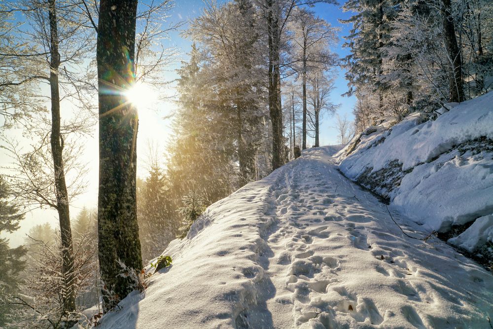 Unterwegs nach oben...