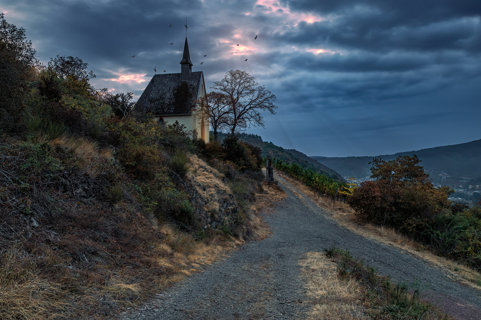 Unterwegs oberhalb der Mosel