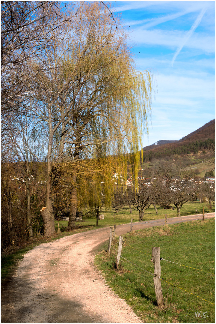 unterwegs rund Neuffen