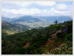 unterwegs von Deia nach Soller