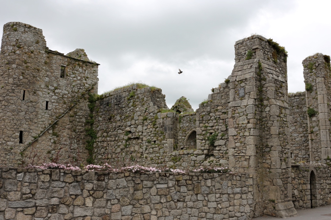 Unterwegs von Dublin nach Youghal