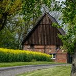 Unterwegs von Havixbeck nach Münster (17)