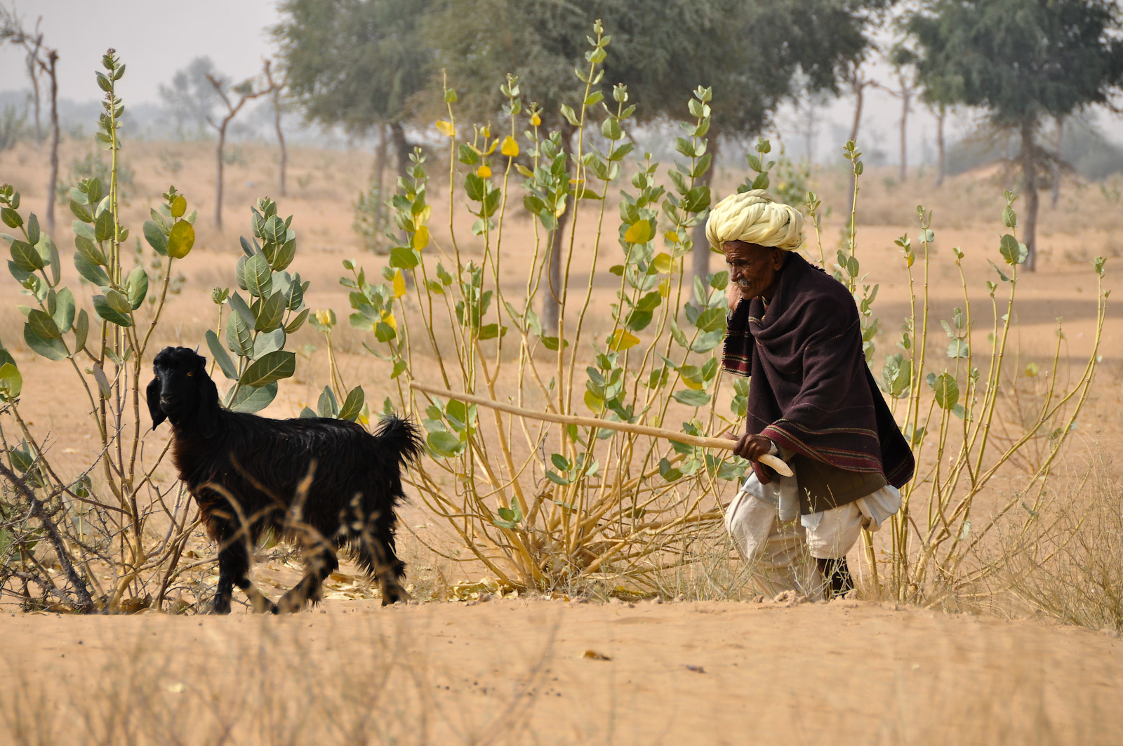 Unterwegs von Jaisalmer nach Jodhpur