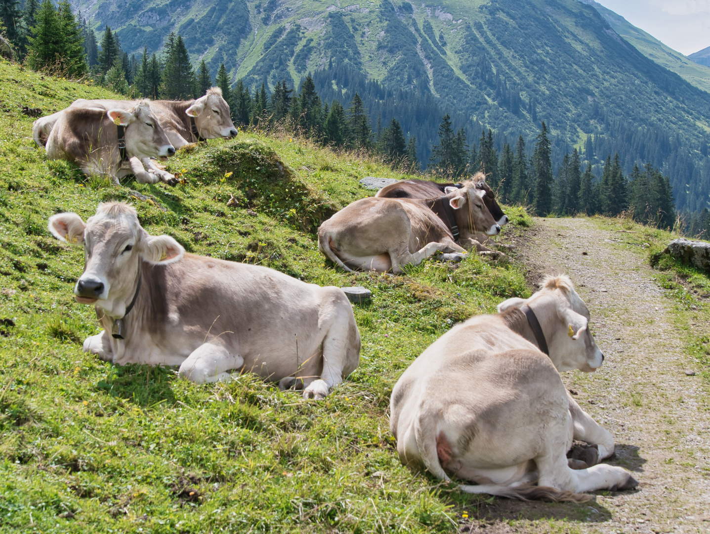 Unterwegs von Lech nach Warth