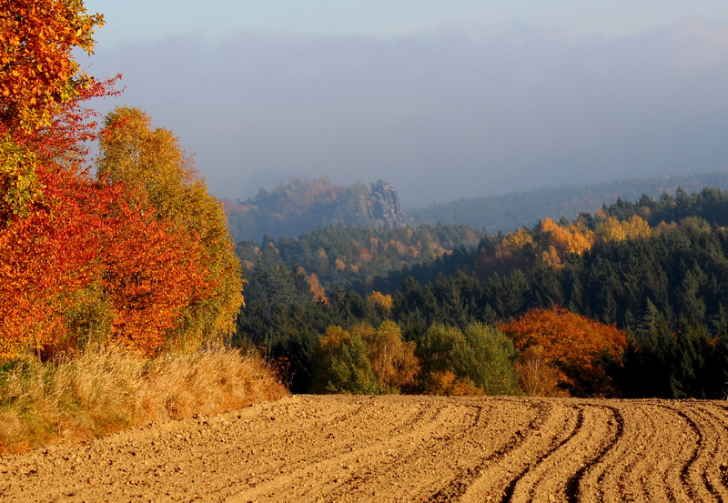 Unterwegs zum Beuthenfall von Mittelndorf aus