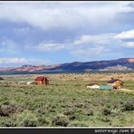 unterwegs zum Bryce Canyon