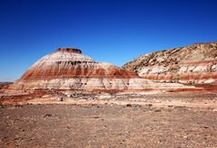 unterwegs zum Crocodile Rock