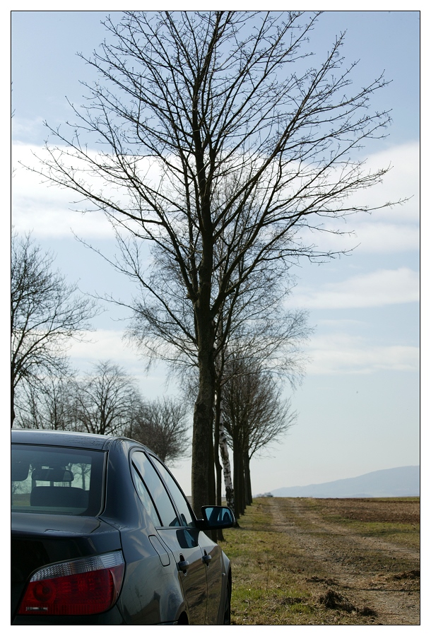 Unterwegs zum Donnersberg