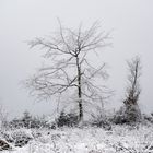 Unterwegs zum Kahlen Asten