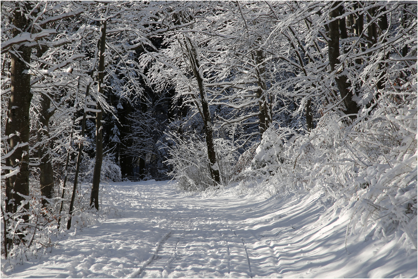 Unterwegs zum Kornberggipfel.