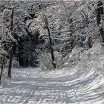 Unterwegs zum Kornberggipfel.